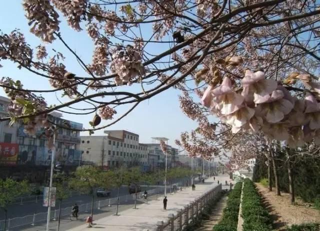 ������11����(��)�����ҿ��� �����ص����