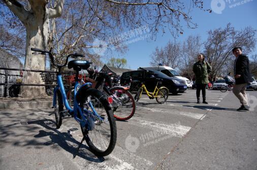 p48-2������԰���Ÿ�����Υ��ͣ���ڰ������ϵĹ���������