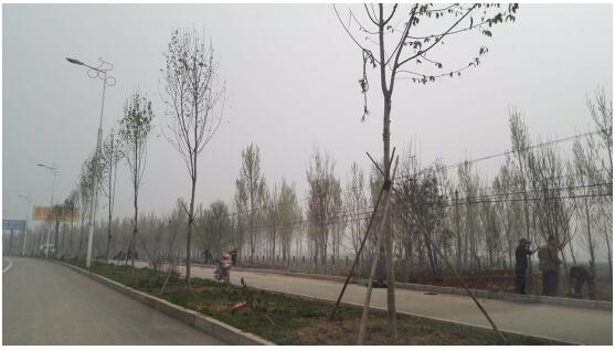 �ӱ�ƽ�磺 ��ͨ��ӭ������̻����칤�̱�ָ