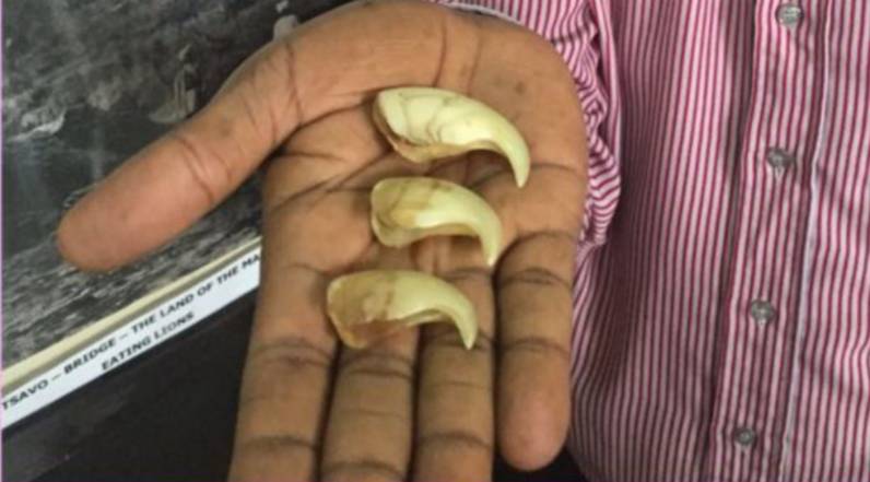 1896�����ö��צ