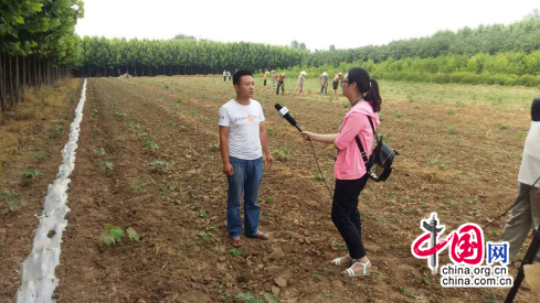 ��������������ׯ���ٵ����Ļ��������㵳������