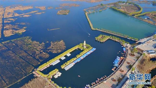 �۰������˲Ź��ʱ�׼���ձ����������ڱ���