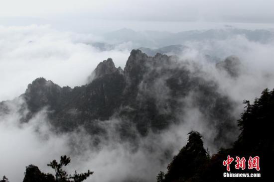 ���ϡ�ר�����¡�������С��ҵ������Ȧ���Ӵ� 532����ҵ���