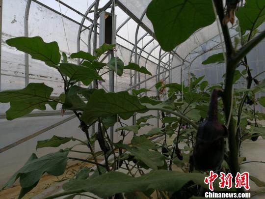 �����ڵ������������֡�����־�� ��