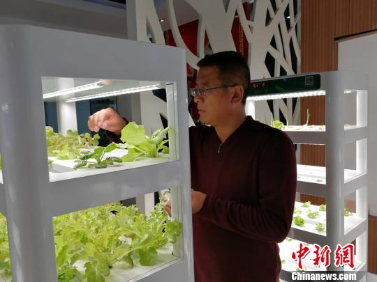 ����ʡ���أ����ǻ�ũׯ�����߲ˡ������֡�