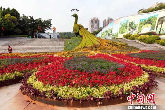 深圳园博园绿雕 陈卫国 摄 深圳园博园绿雕 陈卫国 摄