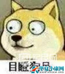˾˿ʹɽ Ѿ׷Ϊ˾