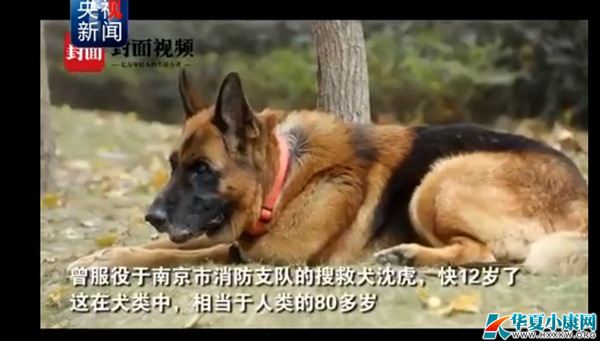 봨оȳ15 80䡱