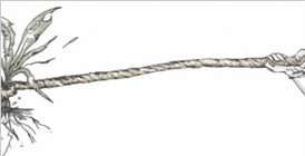 �������ͷ��»�����������ۺ�����ִ�����Ƹĸ����ģʽ��