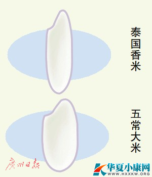 гѱ ơ峣ס ų