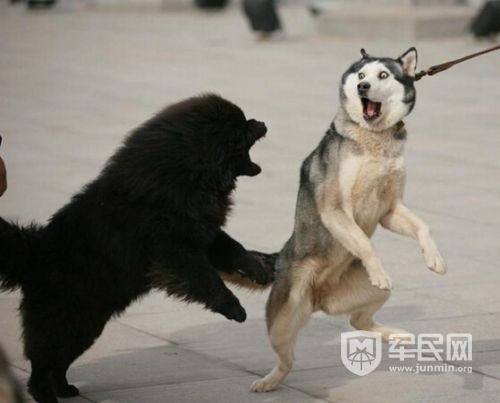 ���汻�������ಡ ����������������ǧ