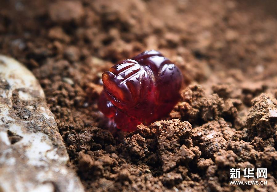 Ļ8Ĺ԰ĹĹݹΪس