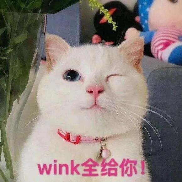 ֻǧ𵱷Ʒ Щػᷢ⴦õ