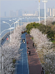 ���ݡ������ܵ��� ӣ������������