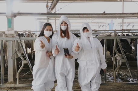 ţΪʲôô𣿱ƷԴ֮ô߽һͷţ