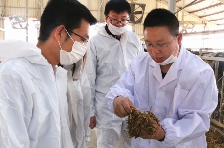 ţΪʲôô𣿱ƷԴ֮ô߽һͷţ