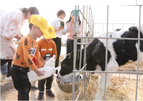 ţΪʲôô𣿱ƷԴ֮ô߽һͷţ