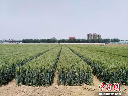 ɽ�����ظ��غ�������2020�걣������1.12��Ķ