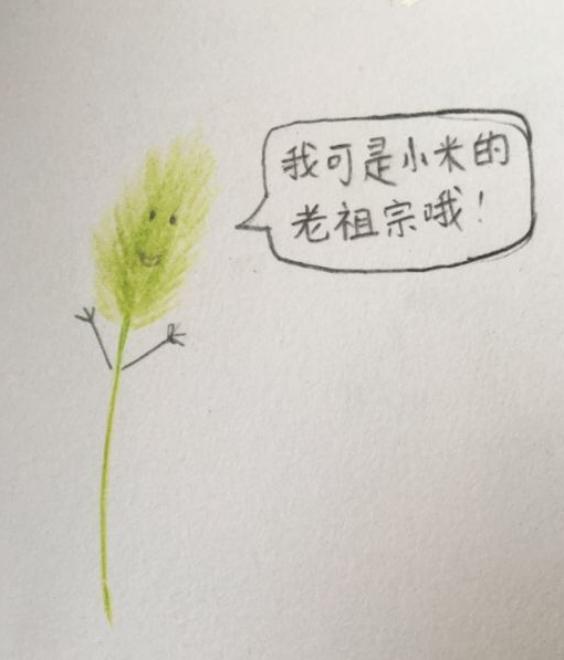 Ű˳ʱйڳɶ