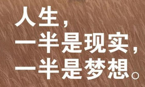 江西舜鑫投资管理有限公司:正能量人生哲理句子 直戳心窝