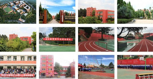 5.png