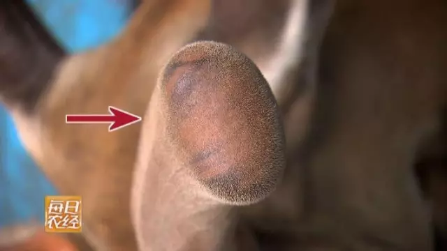 \