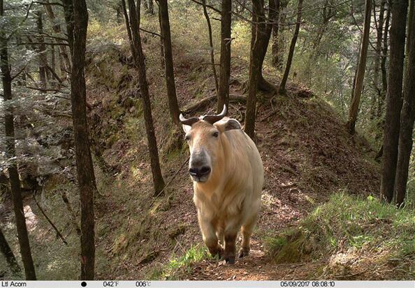 ຣԴҼȻҹ԰׽Դ԰ίĸɽأ