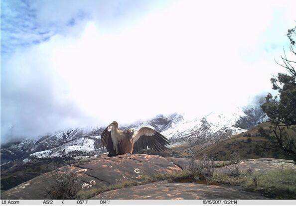 ĴƼҺӹҼȻĴ˿ȫҸ