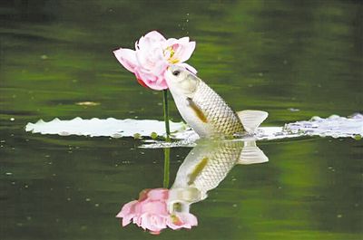 Ҳӹ ĴԺɻ澰