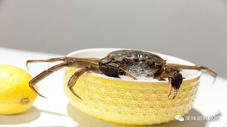 90c17c5c57c6b5255cdbe27e9feb7164