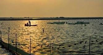 dfc1f729e43d047b8a3b1ae315ad881e