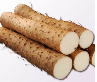 ɽҩùЧ ӿȪѨ˵׼ȷ