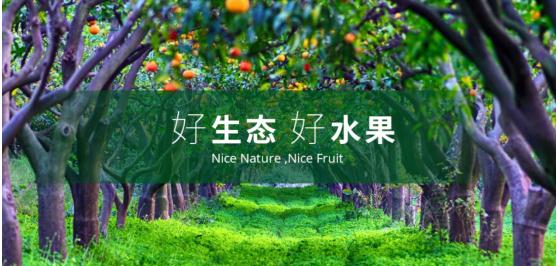 鲩ʿ紴ҵκ