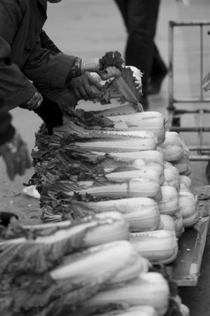 ���������һҳ