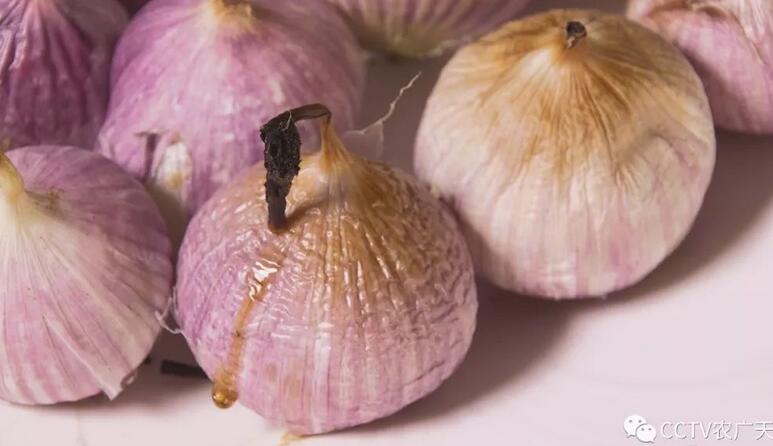 ũ