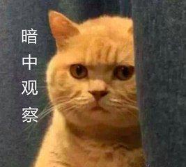 01.08~01.16平安财神节,买保险不盲从