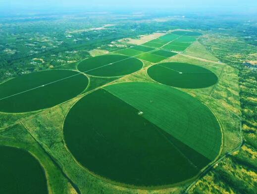 ��������:���ϰ����ύ��������չ�ġ��Ҹ������