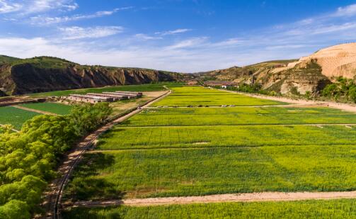 ��������:���ϰ����ύ��������չ�ġ��Ҹ������