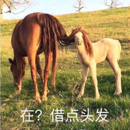 \