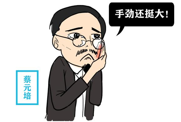 女大学生当众给了蔡元培一耳光，这是为何？她后来结局咋样？