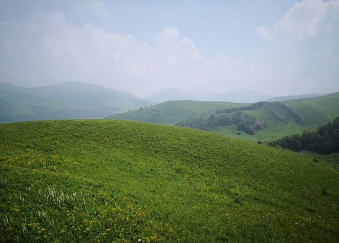 ΢Žͼ_20190926094151.png