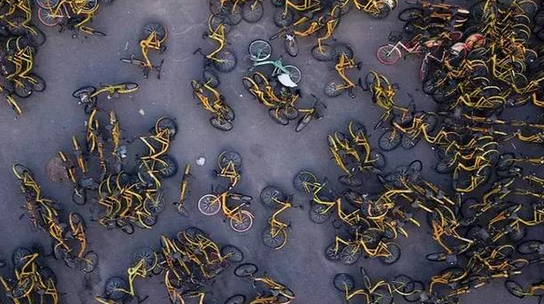 ǰԱ����Ƚ�¶ofo�ܾ֣��ӻ���̰�ۡ�վ�ӡ����Ա