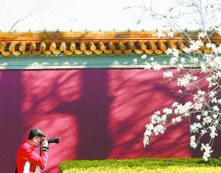 봺ȳǰ15