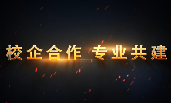 ǣֿԭְҵ ƻ ޼˲