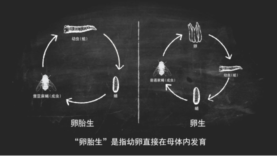 cb0b3690fc7e11eab7a5399144389d57